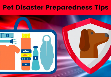 Pet disaster preparedness tips