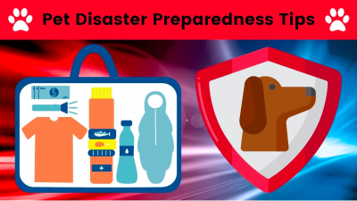 Pet disaster preparedness tips